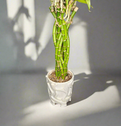 Stylish Bamboo Planter