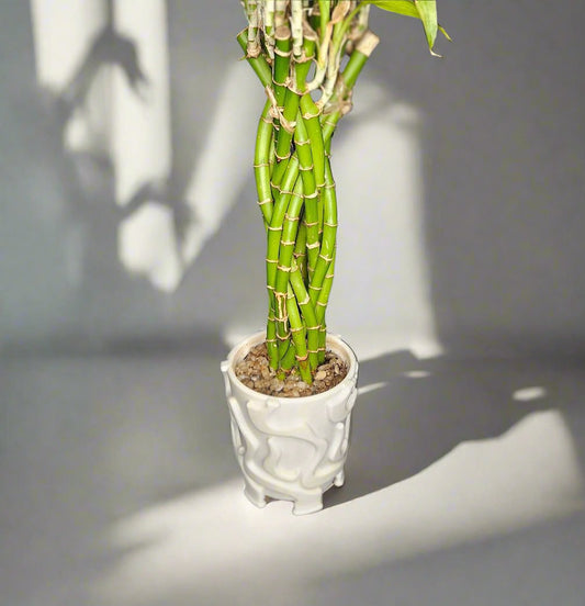 Stylish Bamboo Planter