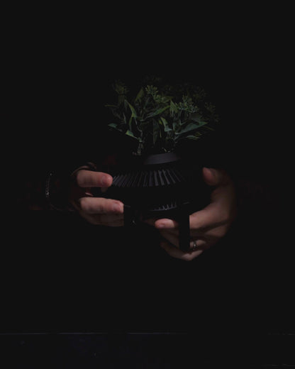 Quano Planter